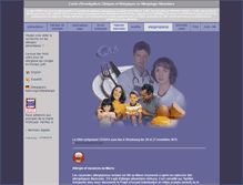 Tablet Screenshot of cicbaa.org